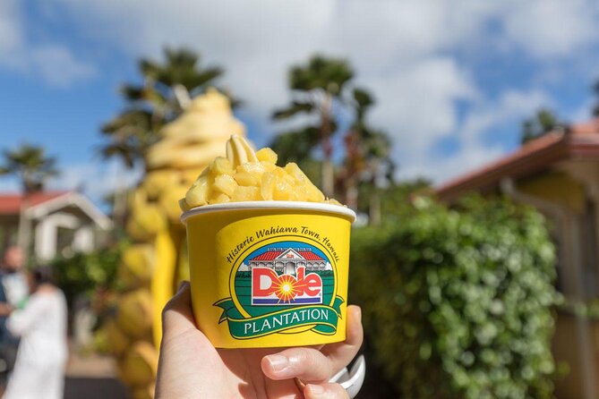 Pearl Harbor, Dole Plantation, and Polynesian Center from Kona - Pearl Harbor Historic Sites: visitor center, documentary, and the Arizona boat ride