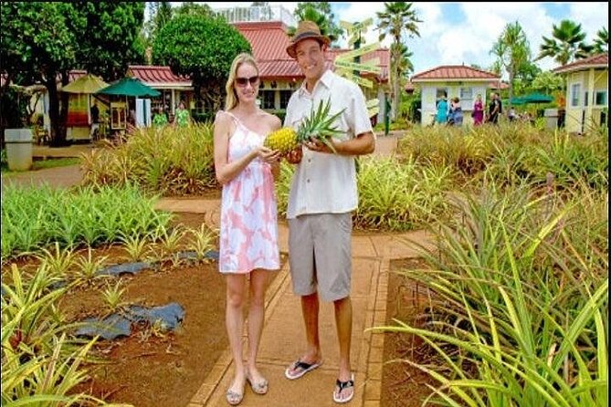 Pearl Harbor, Dole Plantation, and Polynesian Center from Maui - Kualoa Regional Park: Chinaman’s Hat and a short beach reset