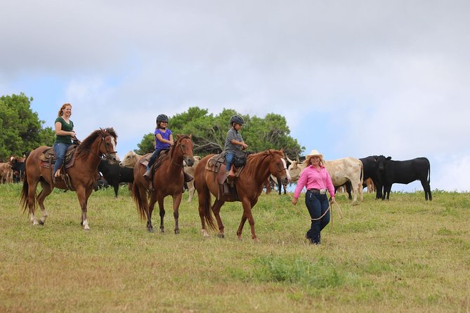 Pony Rides For Kids - Gunstock Ranch Is the Meeting Point—and the End Point Too