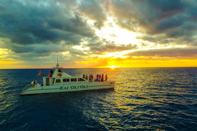 Premium Snorkel Sunset Cruise with Whale and Dolphin Watch - Key Highlights You’ll Feel Immediately