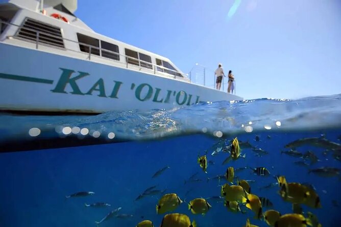 Private and Luxurious Sunset Cruise with Whale & Dolphin Watch - Key things that make this cruise worth your time