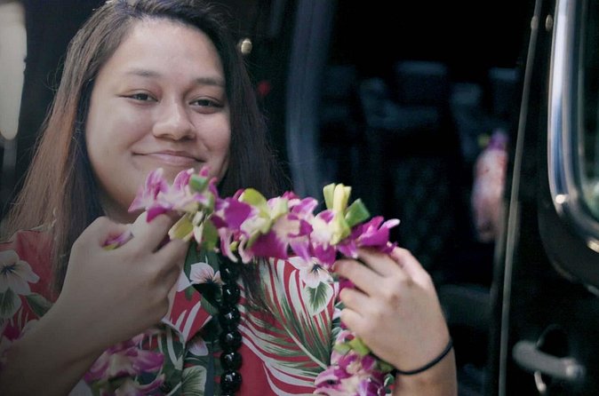 Private Arrival Transfer: Honolulu International Airport to Oahu Hotels or Cruise Terminal - Luggage Limits and the One Rule That Can Cancel Your Booking