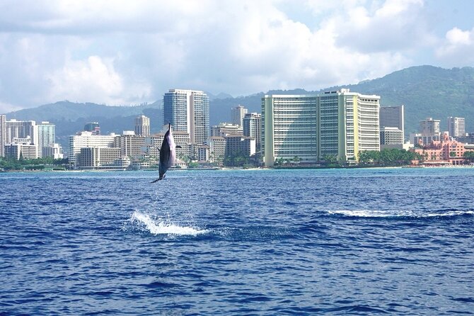 Private Boat Charter in Waikiki for Snorkeling and Events - What’s Onboard: Comfort for Families, Parties, and Rainy-Mood Days