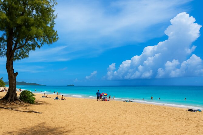 Private Circle Island Tour North Shore and East Side - Pickup, Air-Conditioned Comfort, and Small-Group Control