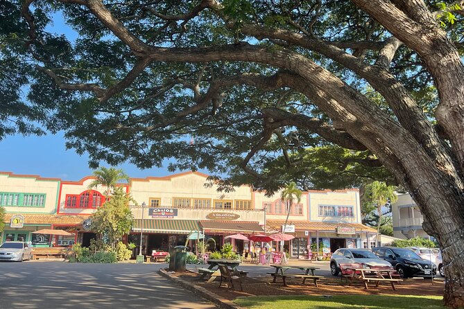 Private Circle Island Tour North Shore and East Side - Waimea Falls: The One Stop Where You Might Actually Get Wet
