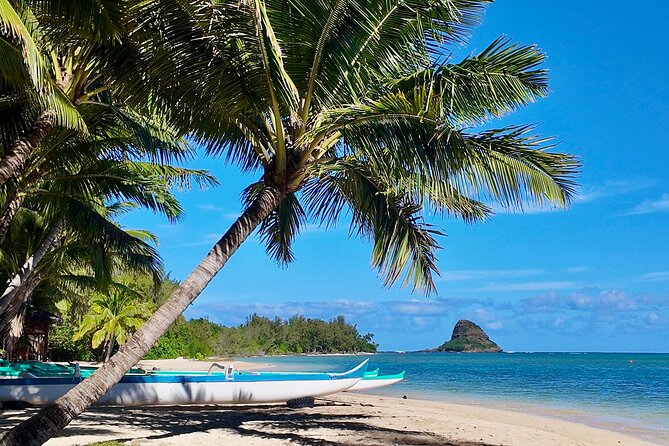 Private Circle Island Tour-Oahu-Customizable - The Waikiki opener: Kalakaua, Kapiolani Park, and Diamond Head’s best view