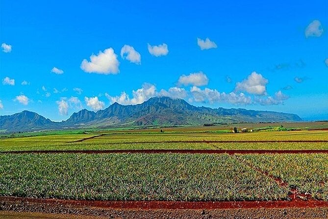 Private Customizable Oahu Grand Circle Island Tour from Waikiki - Waikiki Pickup, Comfort, and the Practical Stuff That Matters