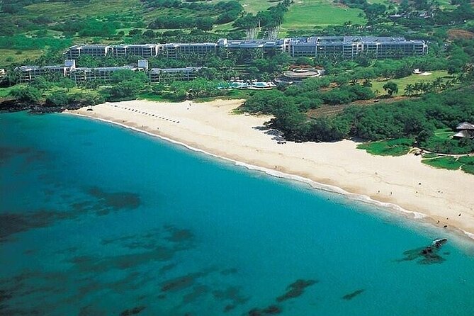 Private Customizable Oahu Grand Circle Island Tour from Waikiki - Dole Plantation and the Pineapple Break You’ll Actually Use