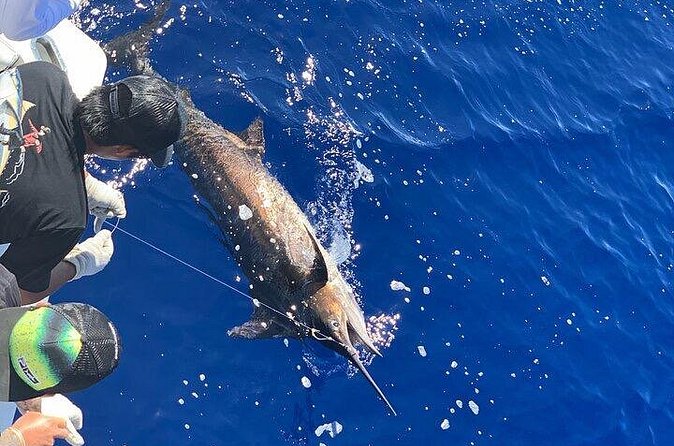 Private Deep Sea Full-Day Fishing Charter in Hawaiian Waters - Rods, tackle, and bait: what’s included and what you still need to think about