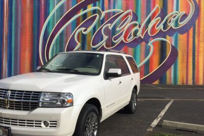 Private Dole,Garlic Shrimp,Haleiwa,North Shore Customizable tour - Pickup from Waikiki: the easiest start to an Oahu day