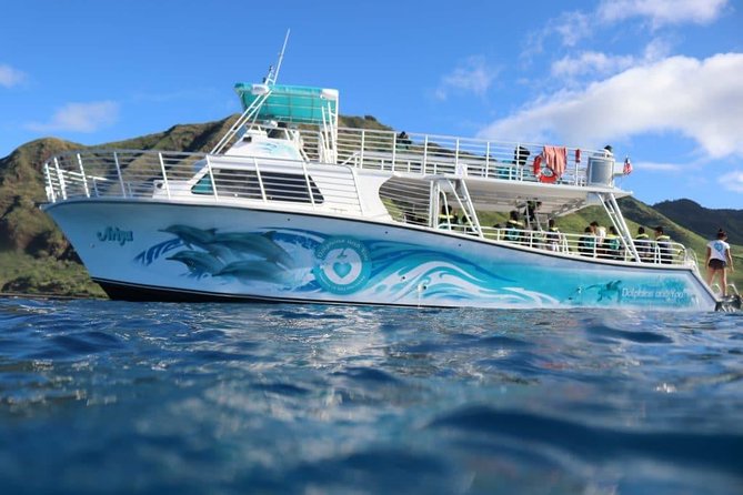 Private Dolphin Swim with Slide for up to 15 Passengers - A Private Dolphin Swim With Slide, Built for Groups