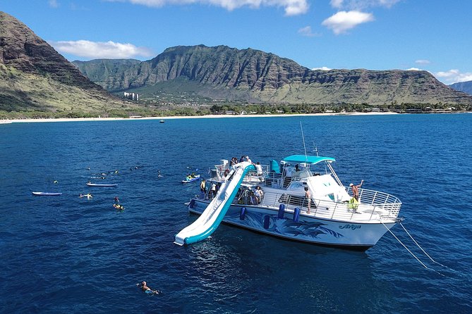 Private Dolphin Swim with Slide for up to 15 Passengers - On Board: Two Decks, Wraparound Seating, and Real Comfort