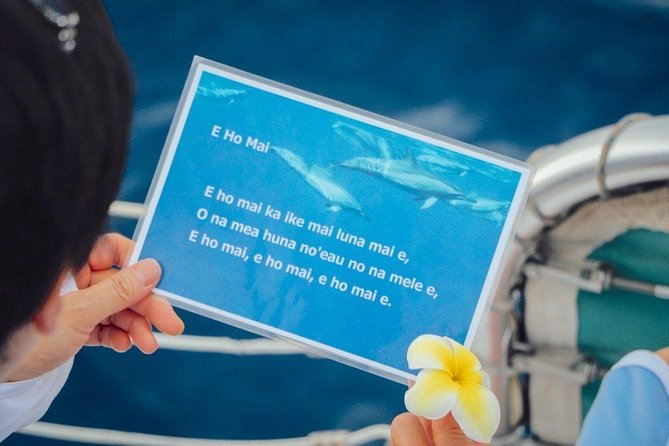 Private Dolphin Swim with Slide for up to 15 Passengers - The Dolphin Search: Why You Might Spend Time Scanning