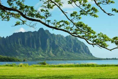 Private Green and Blue Circle Island Oahu Tour (se habla espanol) - Byodo-in Temple: A Japanese Temple Replica in 15 Minutes