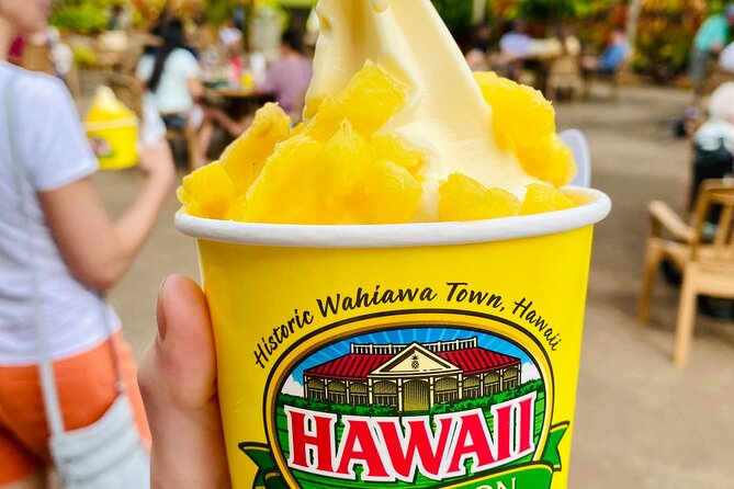Private Half-Day Circle Island Highlights Tour in Oahu - Key highlights before you go