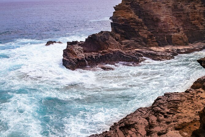 Private Half-Day Circle Island Highlights Tour in Oahu - Price and Logistics: Does $649.99 Per Group Make Sense?