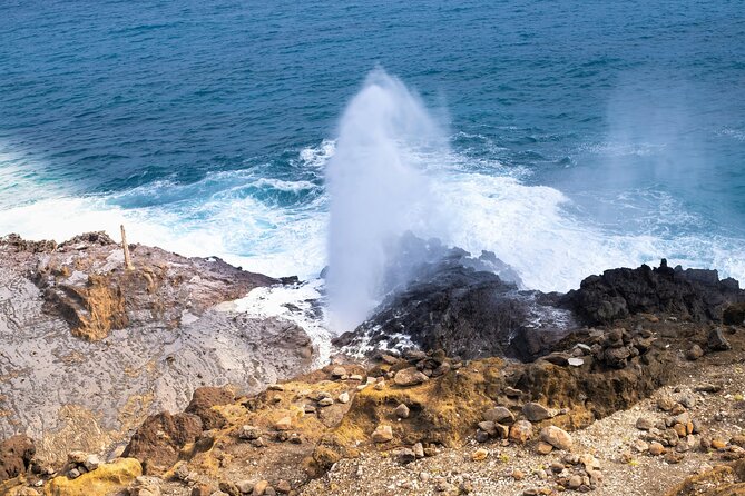 Private Half-Day Circle Island Highlights Tour in Oahu - What’s Included (and the Stuff You’ll Need to Handle)