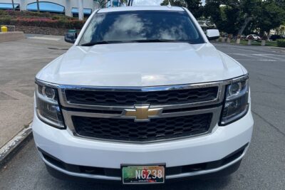 Private Luxury Escalade Transfer: HNL Airport & Cruise Ports - Cruise Ports and Hotel Drop-Off: Direct Transfer, No Extra Theater