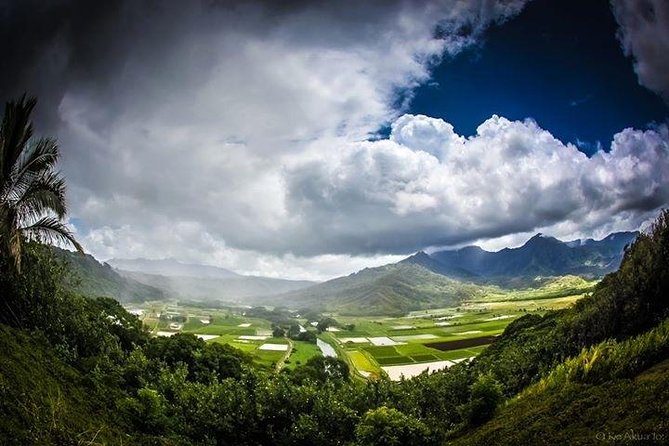 Private luxury tour of Oahu island - Price and Value: What $420 Per Person Is Buying You