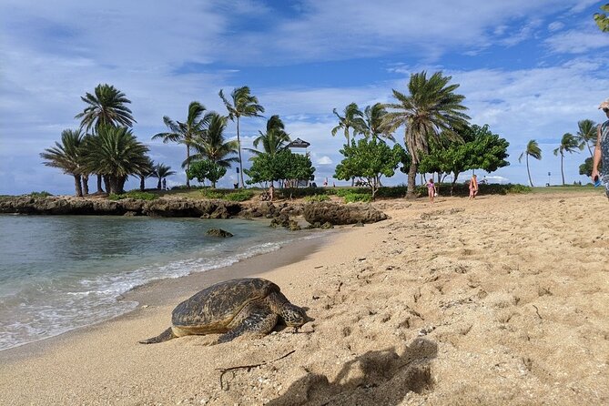 Private Oahu Circle Island Tour - Mokolii Island photos and Koolau Mountain views