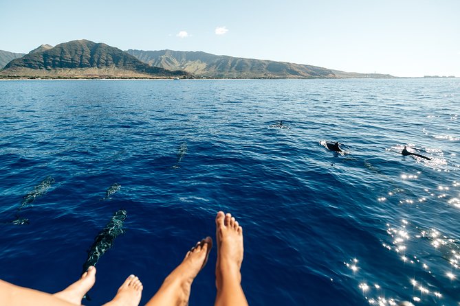Private Oahu Sunset Charter with Tasting and Drinks - West Oahu Coast: dolphins, turtles, and the whale-spotting hunt