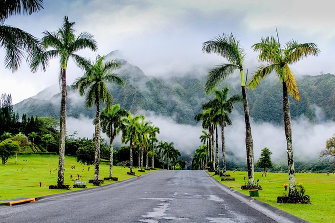 Private Oahu Van Tour - Kahuku Farms at Fumi’s: Fresh Shrimp and an Easy Food Detour