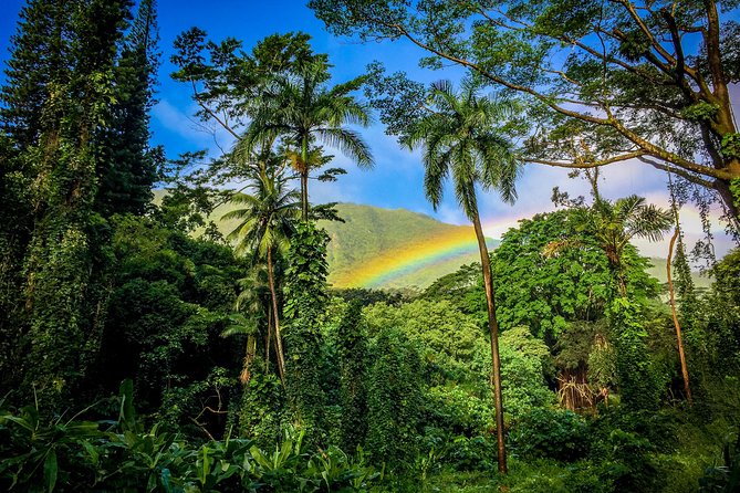 Private Oahu Van Tour - The Route: From Blowhole Cliffs to North Shore Surf Break Views