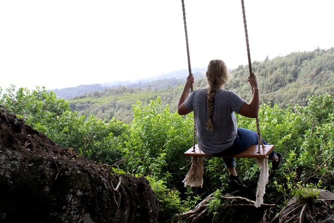 Private Off-Road Adventure Tour - The 1.5-hour private ATV ride: what the day feels like on the ground