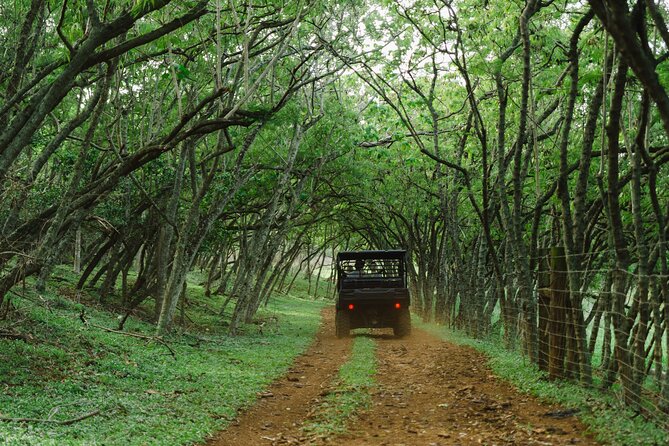 Private Off Road Explorer's Tour - Guides Make It: Ocean, Amanda, and the Personal Storytelling Factor