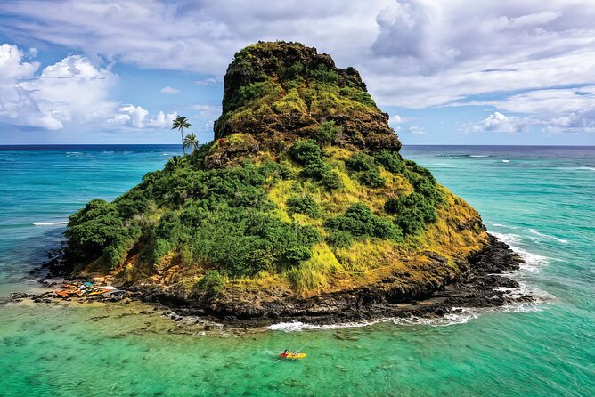PRIVATE Premium Circle Island Tour (12 Stops) - Macadamia Farms, Chinaman’s Hat, and Ricky’s Fruit Stand