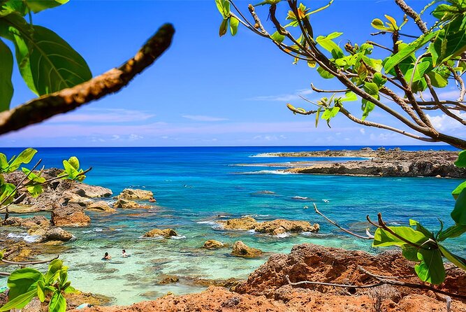 PRIVATE Premium Circle Island Tour (12 Stops) - Kahuku Food Stop to Pupukea Beach: North Shore Highlights Without the Detours