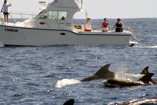 Private Sea’fari Expedition • 8 Guests Included (Expandable) - The West Oahu route: Ka‘ena Point to Makaha Beach