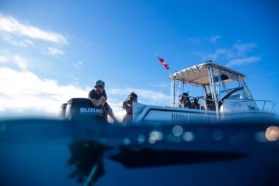 Private Shark Dive, Oahu, Hawaii (6 Guest) - 2 hours in the water: how the session tends to unfold