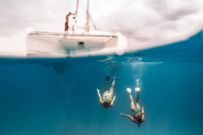 Private Snorkel Trip from Oahu on a Yacht - What the Captain and Guide Setup Means for Your Group