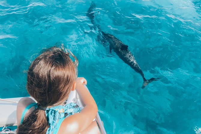 Private Snorkel Trip from Oahu on a Yacht - Should You Book This Private Snorkel Yacht Trip?