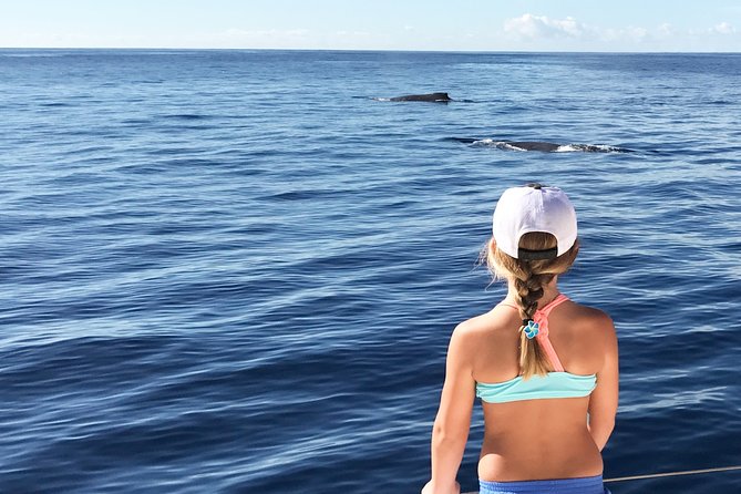Private Snorkel Trip from Oahu on a Yacht - Ko Olina Marina to the Open Sea: Views, Weather, and Wildlife Odds