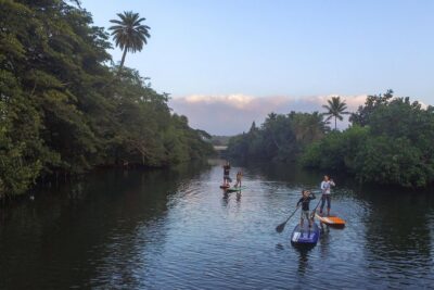 Private Stand up Paddle Lesson and Tour (for 1 or more paddlers) - Your Stop: Haleiwa Beach Park Setup and First Push-Off