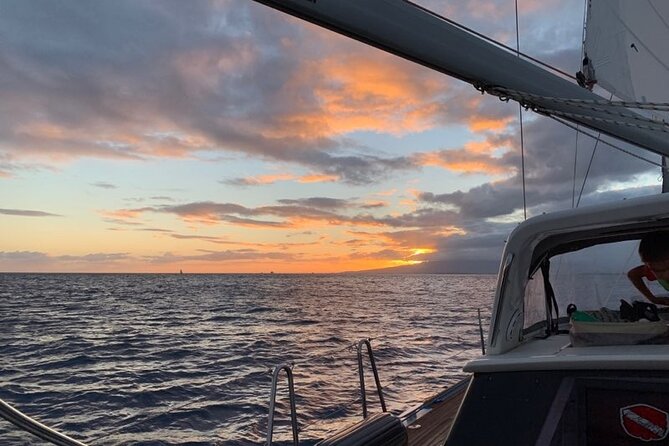 Private Sunset Boat Cruise in Waikiki Honolulu - Wildlife spotting: what to watch for, without counting on it