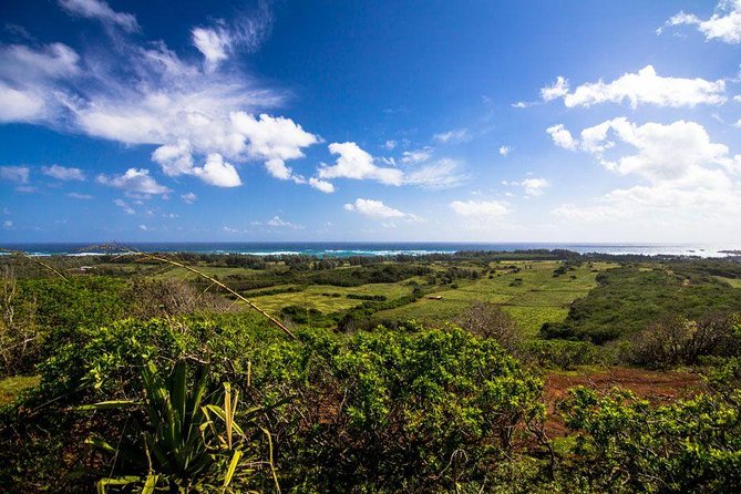 Private Sunset Dinner Horseback Ride - Key takeaways before you book