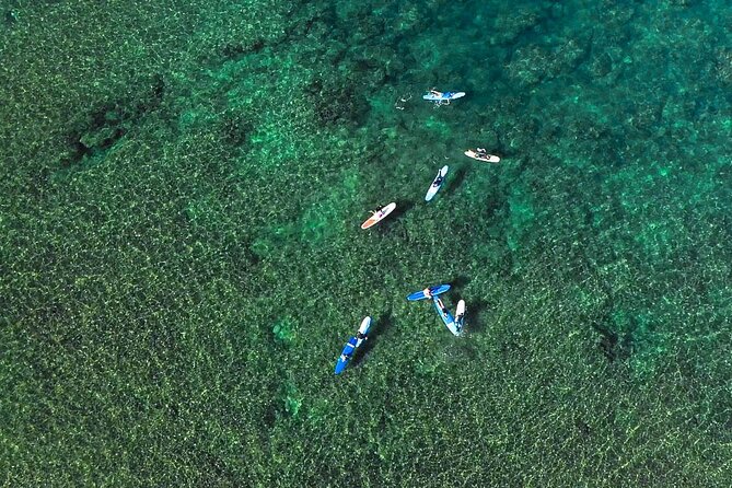 Private Surf Lesson for 3-5 People in North Shore Oahu - Safety Briefing and Line-Up Etiquette That Keeps You Out of Trouble
