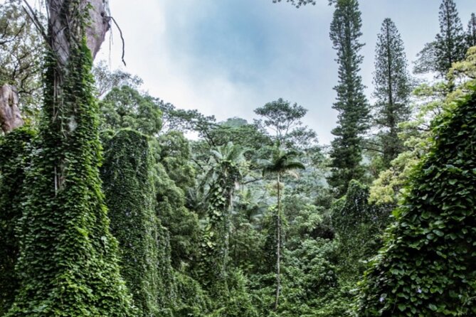 PRIVATE TOUR-Hike Diamond Head & Hawaiian Waterfall - Why the 6:00 am timing matters on Oahu