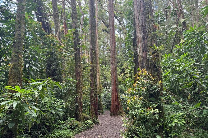 PRIVATE TOUR-Hike Diamond Head & Hawaiian Waterfall - The beach breakfast stop that keeps the day from falling apart