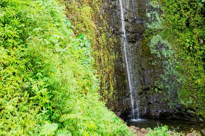 PRIVATE TOUR-Hike Diamond Head & Hawaiian Waterfall - Price and what $107 really buys you