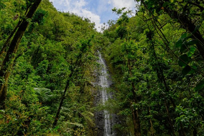 PRIVATE TOUR-Hike Diamond Head & Hawaiian Waterfall - Should you book this Diamond Head and Manoa Falls private hike?