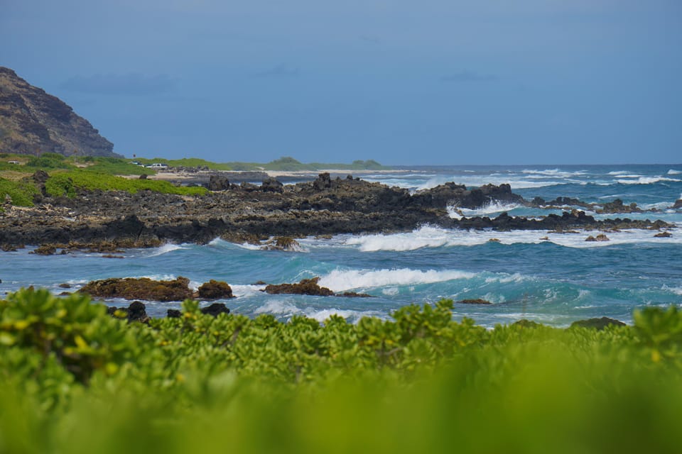 Private Tour Oahu-Circle Island-Customizable - Key Things I’d Pay Attention To