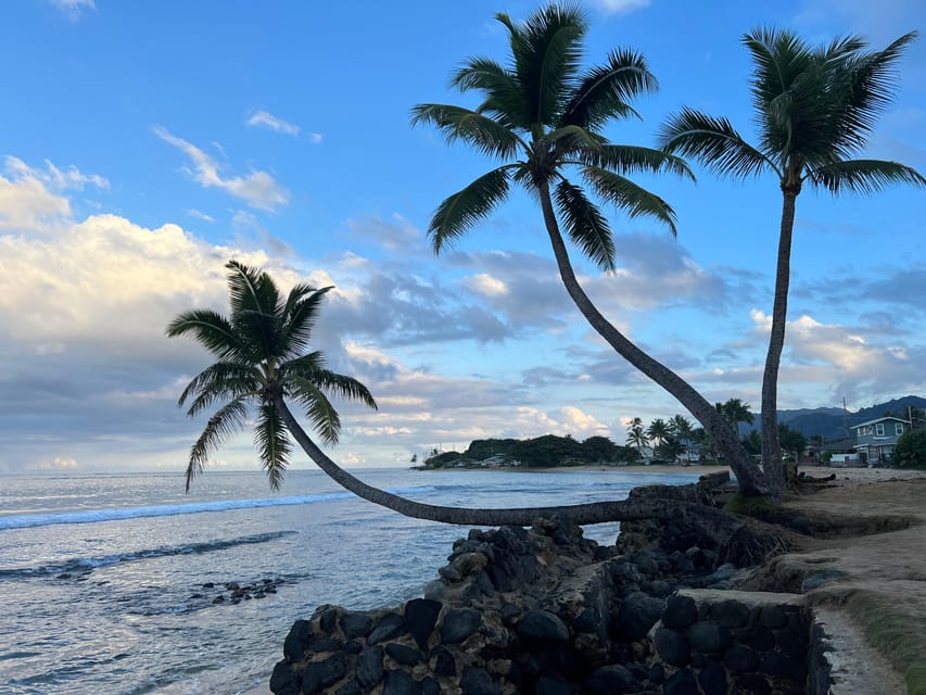 Private Tour Oahu-Circle Island-Customizable - Should You Book This Private Oahu Circle Island Tour?