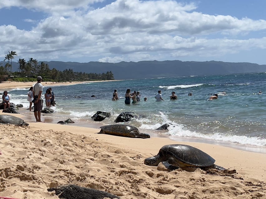 Private Tour Oahu-Circle Island-Customizable - One Private 8-Hour Circle-Island Route, Planned Around Your Day