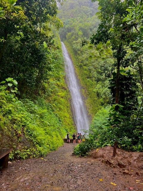 Private Tour Oahu-Circle Island-Customizable - North Shore Beats: Haleʻiwa, Turtle Beach, and Your Lunch Hour