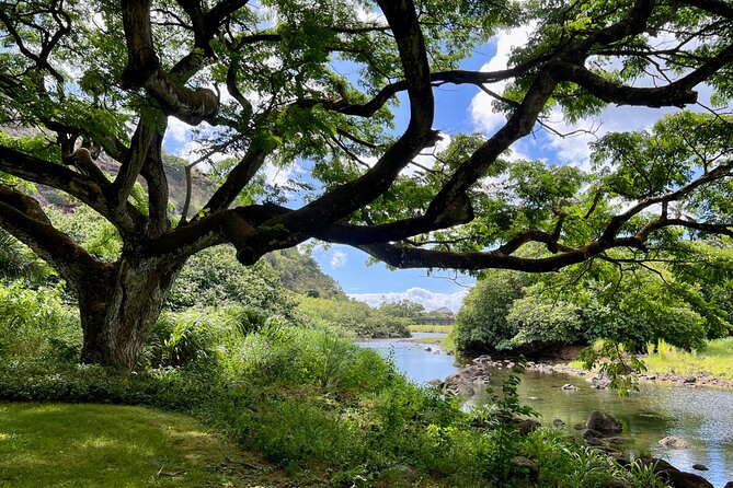 Private Tour Oahu including Waimea Waterfall-Customizable - A private Oahu day that actually feels like a day