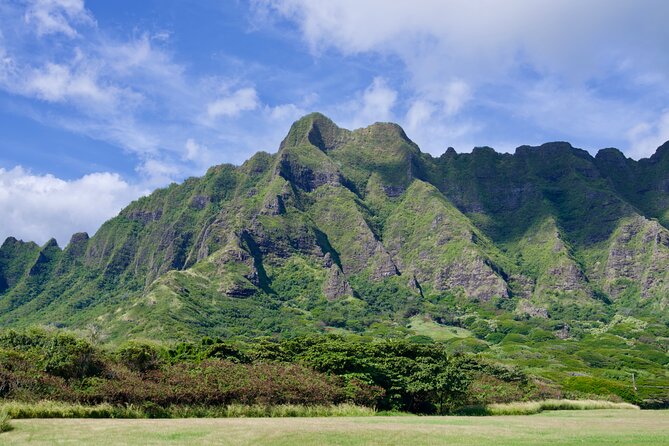 Private Tour Oahu including Waimea Waterfall-Customizable - Waimea Valley: the waterfall time you’ll remember